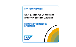SAP S/4 HANA Conversion and SAP System Upgrade